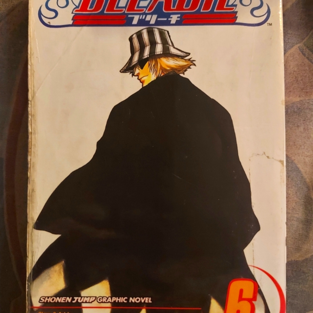 Bleach vol. 6 manga